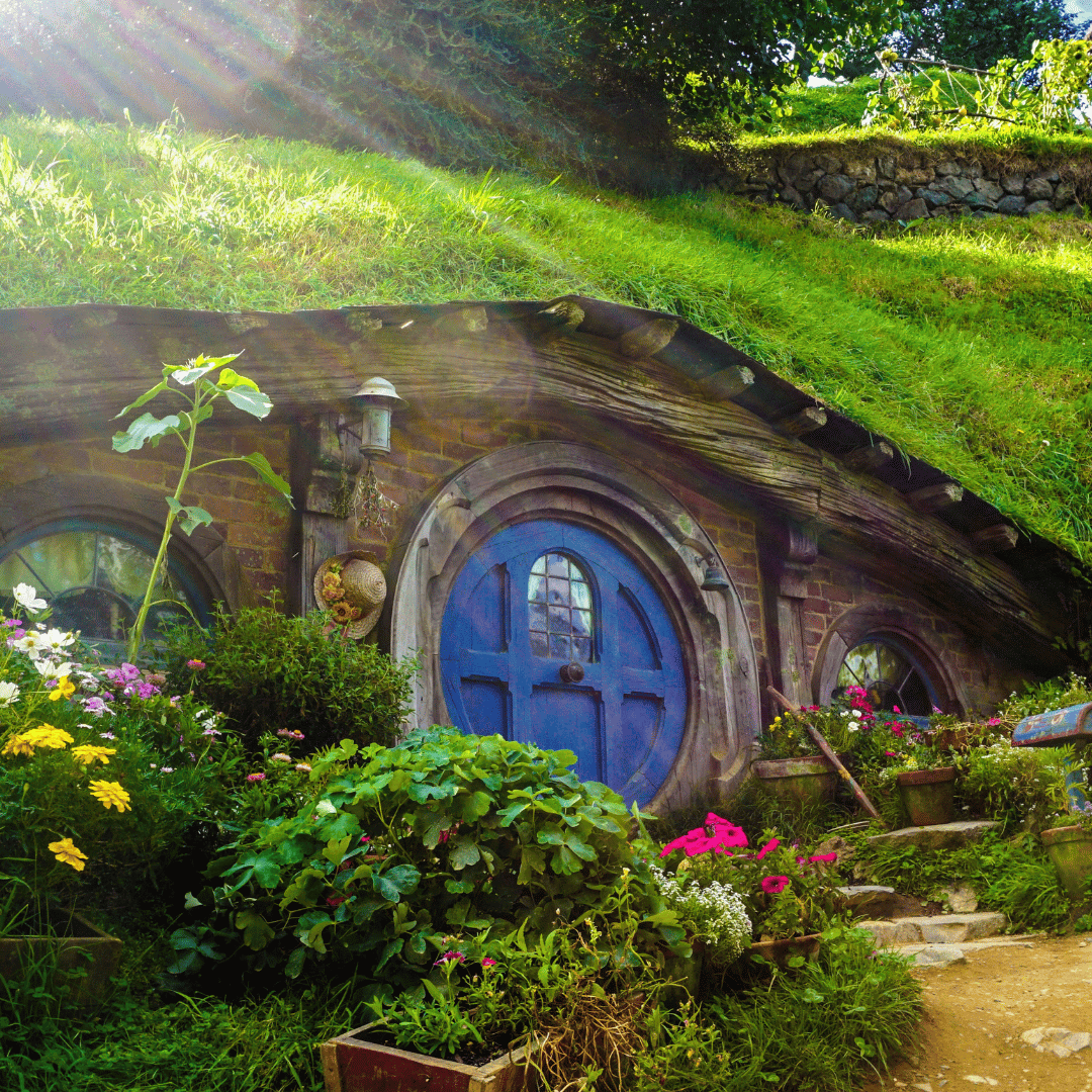 Hobbiton from Lord of the Rings
