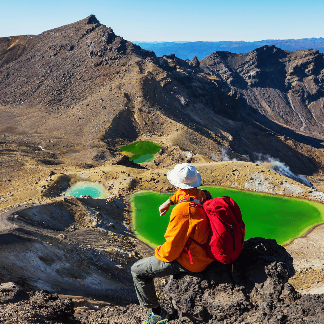 Hobbiton from Lord of the Rings